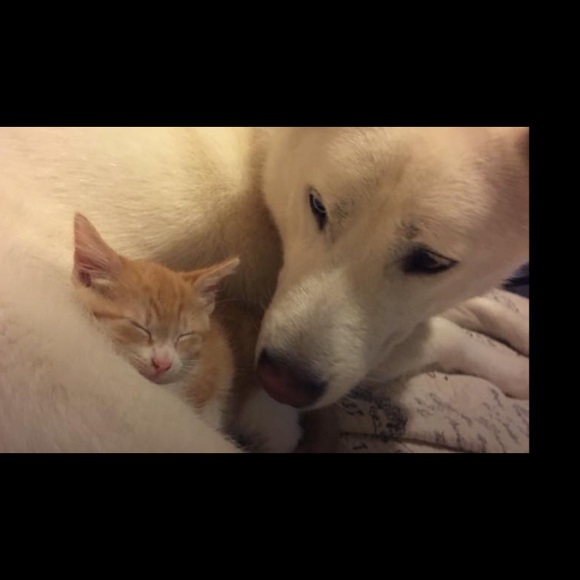 ❤️ Family ❤️ - Picture 4 of 15